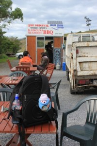 Kally travelling in style