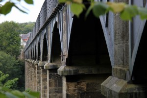 resized_IMG_4220 (2)