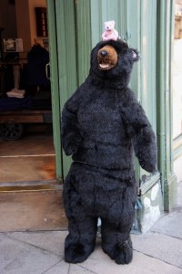 resized_IMG_5051 (2)