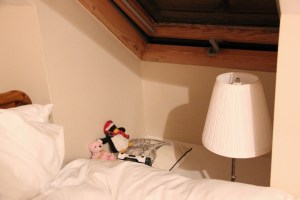 resized_IMG_5293 (2)