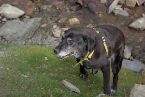 resized_IMG_3812 (2)