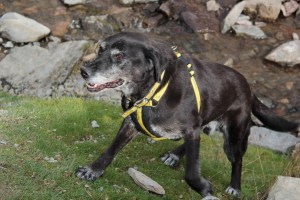 resized_IMG_3813 (2)