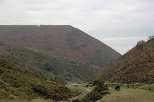 resized_IMG_3916 (2)