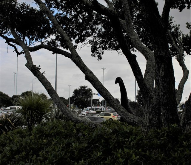 resized_IMG_0903 (2)