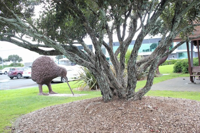 resized_IMG_0905 (2)