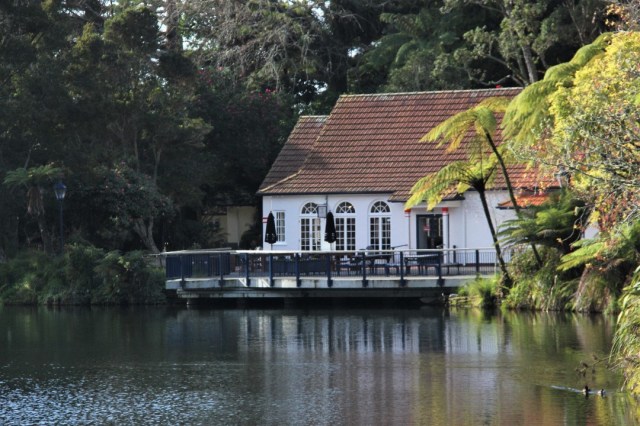 resized_IMG_1180 (2)