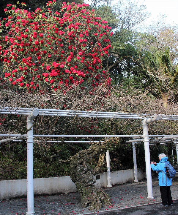 resized_IMG_1224 (2)