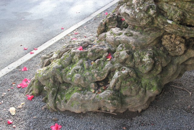 resized_IMG_1232 (2)