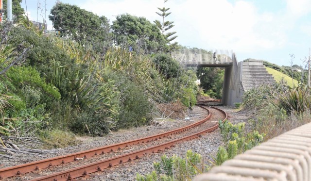 resized_IMG_1378 (2)