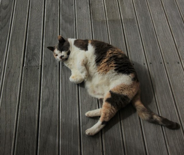 resized_IMG_1641 (2)