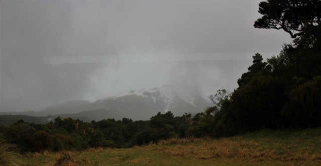 resized_IMG_1651 (2)