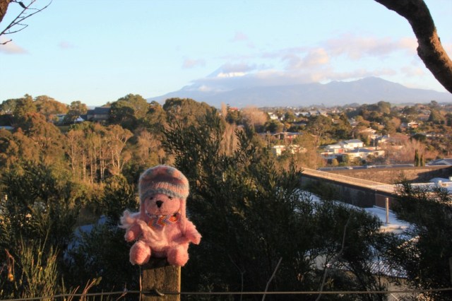 resized_IMG_1803 (2)