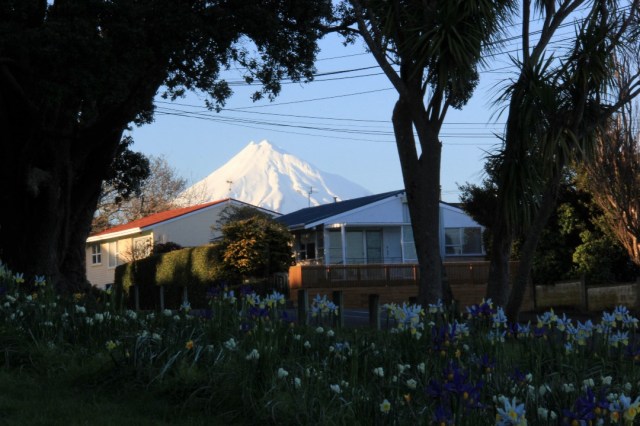 resized_IMG_1909 (2)